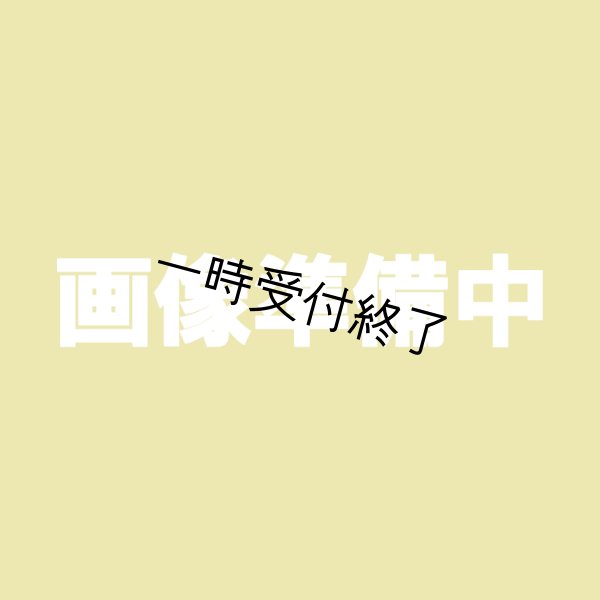 画像1: 安納こがね２Ｌ以上 (1)