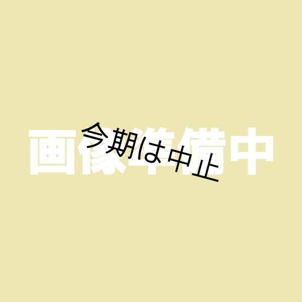 画像1: 安納こがね２Ｌ以上 (1)